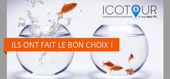 Ils ont rejoints Icotour, le partenaire des professionnels du voyage depuis 1974. Ils ont fait le bon choix !